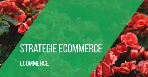 strategie-ecommerce
