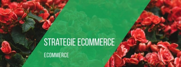 strategie-ecommerce