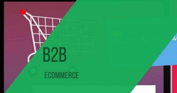 B2B-ECOMMERCE