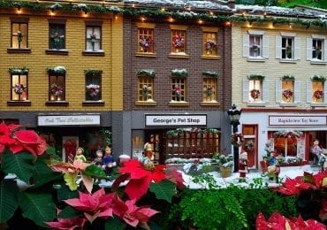 piccoli negozi | M101