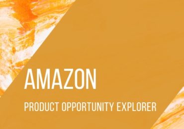 Amazon-Product-Opportunity-Explorer