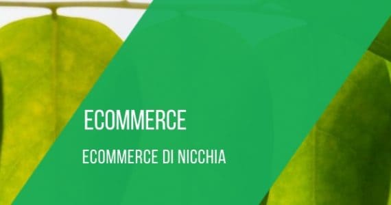 ecommerce-di-nicchia