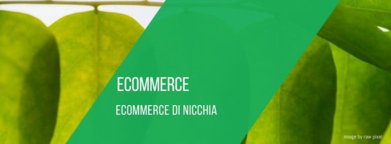 ecommerce-di-nicchia