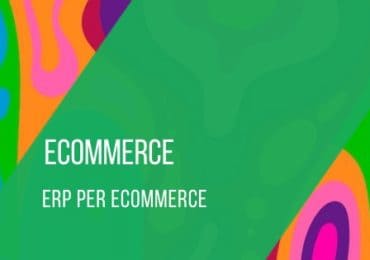 erp-ecommerce