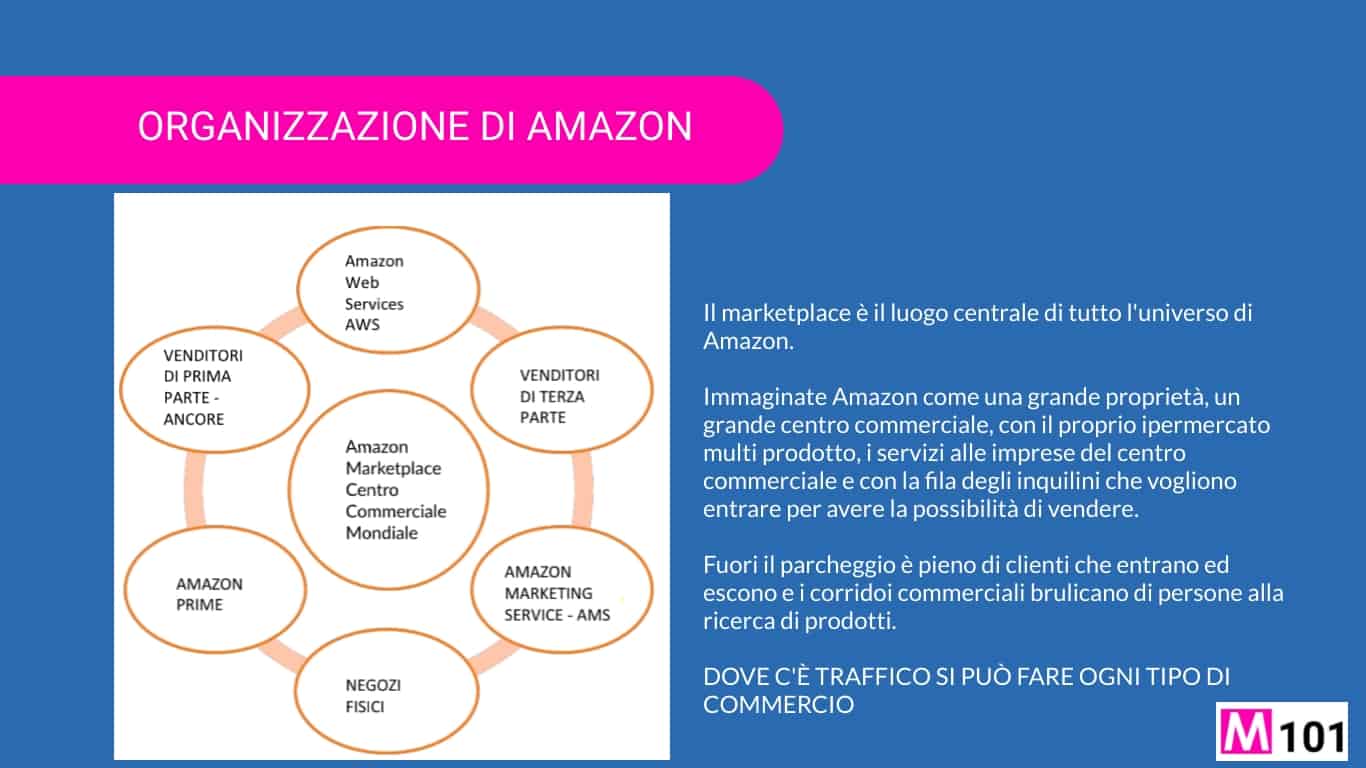 organizzazione-amazon-2